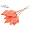 Dried Palm Spear | Colour: Coral | Spear-shaped Palm Leaves | Length ± 55 centimetres | Per 10 stems