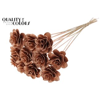 QC Shola Houten Roos op stok | Kleur: Koperkleurig | Shola Beetal Rose Bijsteker | Diameter roos 8 centimeter | Lengte bijsteker ± 50 centimeter | Per 10 bijstekers