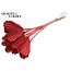Dried Palm Spear Heart-Shaped | Colour: Coral | Length ± 45 centimetres | Per 10 stems