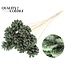 Pine cone on stick | Colour: Light green | Sawdust Light Green Insert Stick | Pine cone diameter 5 - 7 centimetres | Length ± 50 centimetres | Per 10 insert sticks