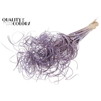 QC Dried Palm Leaf Vein | Curly Ting Ting | Colour: Milka Purple | Dried Decoration | Length ± 70 centimetres | 3 veins per stem | Per 33 stems