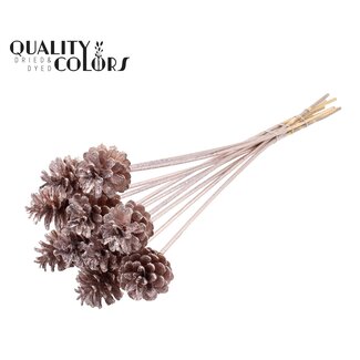 QC Pine cone on stick | Colour: Champagne with Glitter | Pine cone diameter 5 - 7 centimetres | Length ± 50 centimetres | Per 10 picks