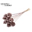 Pine cone on stick | Colour: Champagne with Glitter | Pine cone diameter 5 - 7 centimetres | Length ± 50 centimetres | Per 10 picks