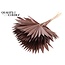 Dried Palm Leaf in Fan Shape | Colour: Brown | Palm Sun Dried Flowers | Length ± 50 centimetres | Per 10 stems