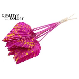 QC Dried Palm Spear | Colour: Mixed Colours | Speckled Lilac Yellow | Palm leaves in spear shape | Length ± 55 centimetres | Per 10 stems