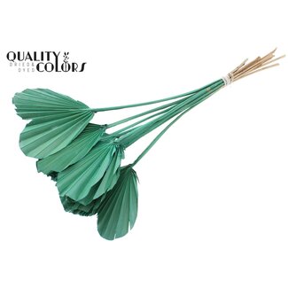 QC Dried Palm Spear Heart-Shaped | Colour: Mint Green | Length ± 45 centimetres | Per 10 stems