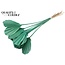 Dried Palm Spear Heart-Shaped | Colour: Mint Green | Length ± 45 centimetres | Per 10 stems