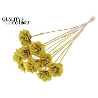 QC Beetal Rose on stem | Colour: Yellow | Rose diameter 6 centimetres | Stake length ± 50 centimetres | Per 10 stakes