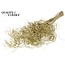 Dried Palm Leaf Vein | Curly Ting Ting | Colour: Gold | Dried Decoration | Length ± 70 centimetres | 3 veins per stem | Per 33 stems