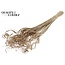 Dried Palm Leaf Vein | Curly Ting Ting | Colour: Natural Brown | Dried Decoration | Length ± 70 centimetres | Per 100 stems