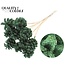 Pinecone on stick | Colour: Green | Sawdust Green Insert Stick | Pinecone diameter 5 - 7 centimetres | Length ± 50 centimetres | Per 10 insert sticks