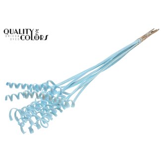 QC Palm Spiraal op steel | Kleur: Lichtblauw | Cane Spring Bijsteker | Lengte bijsteker ± 50 centimeter | Per 10 bijstekers