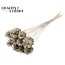 Pine cone on stick | Colour: Platinum-coloured | Pine cone diameter 5 - 7 centimetres | Length ± 50 centimetres | Per 10 picks