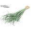 Dried Palm Leaf Vein | Curly Ting Ting | Colour: Mint Green | Dried Decoration | Length ± 70 centimetres | 3 veins per stem | Per 33 stems