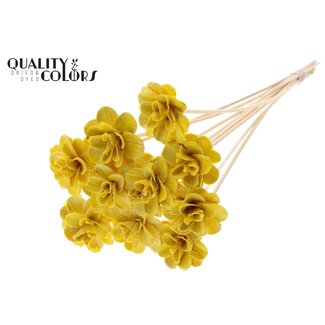 QC Beetal Rose with stake | Colour: Yellow | Rose diameter 6 centimetres | Stake length ± 50 centimetres | Per 10 stakes