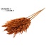 Dried Pampas Plumes | Colour: Terracotta | Pampas Dried Flowers | Length ± 100 centimetres | 5 plumes per bunch | Per bunch