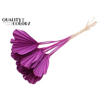 QC Dried Palm Spear Heart-Shaped | Colour: Lilac | Length ± 45 centimetres | Per 10 stems