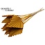 Dried Palm Spear | Colour: Apricot | Spear-shaped Palm Leaves | Length ± 50 centimetres | Per 10 stems