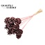 Pine cone on stick | Colour: Frosted Pink | Pine cone diameter 5 - 7 centimetres | Length ± 50 centimetres | Per 10 picks