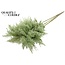 Dried Pampas Plumes | Colour: Light Green | Pampas Dried Flowers | Length ± 100 centimetres | 5 plumes per bunch | Per bunch