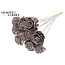 Shola Houten Roos op stok | Kleur: Champagnekleurig | Shola Beauty Rose Bijsteker | Diameter roos 6 centimeter | Lengte bijsteker ± 50 centimeter | Per 10 bijstekers