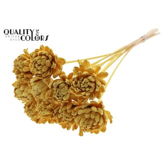 QC Shola Houten Roos op stok | Kleur: Geel | Shola New Beauty Rose Bijsteker | Diameter roos 8 centimeter | Lengte bijsteker ± 50 centimeter | Per 10 bijstekers