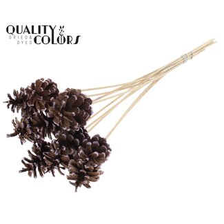 QC Pinecone on Stick | Colour: Brown with Metallic Pink | Metallic Pink Tipped Pick | Pinecone Diameter 5 - 7 centimetres | Length ± 50 centimetres | Per 10 picks