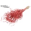 Dried Palm Leaf Vein | Curly Ting Ting | Colour: Coral | Dried Decoration | Length ± 70 centimetres | 3 veins per stem | Per 33 stems