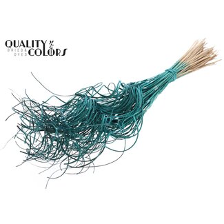 QC Dried Palm Leaf Vein | Curly Ting Ting | Colour: Turquoise | Dried Decoration | Length ± 70 centimetres | 3 veins per stem | Per 33 stems