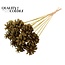 Pine cone on stick | Colour: Intense Olive Green | Pine cone diameter 5 - 7 centimetres | Length ± 50 centimetres | Per 10 picks