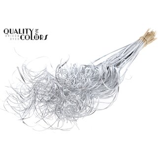 QC Dried Palm Leaf Vein | Curly Ting Ting | Colour: Silver | Dried Decoration | Length ± 70 centimetres | 3 veins per stem | Per 33 stems