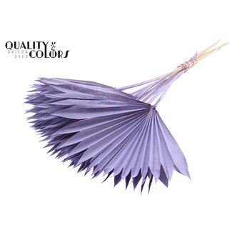 QC Gedroogd Palmblad in Waaiervorm | Kleur: Frosted Milkapaars | Palm Sun Droogbloemen | Lengte ± 50 centimeter | Per 10 takken