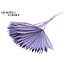 Dried Palm Leaf in Fan Shape | Colour: Frosted Milka Purple | Palm Sun Dried Flowers | Length ± 50 centimetres | Per 10 stems
