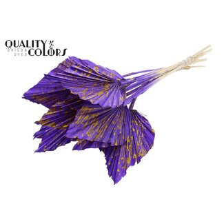 QC Dried Palm Spear | Colour: Mixed Colours | Splattered Purple Yellow | Spear-shaped Palm Leaves | Length ± 55 centimetres | Per 10 stems
