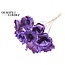 Dried Palm Cup on stem | Colour: Milka Purple | Length ± 50 centimetres | Per 10 stems