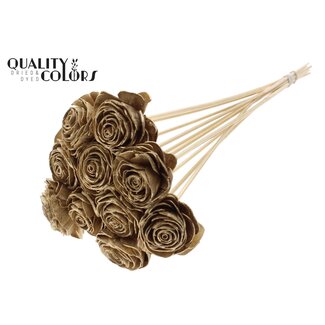 QC Shola Houten Roos op stok | Kleur: Antiek Goudkleurig | Shola Beauty Rose Bijsteker | Diameter roos 6 centimeter | Lengte bijsteker ± 50 centimeter | Per 10 bijstekers