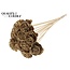 Shola Houten Roos op stok | Kleur: Antiek Goudkleurig | Shola Beauty Rose Bijsteker | Diameter roos 6 centimeter | Lengte bijsteker ± 50 centimeter | Per 10 bijstekers
