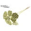 Gedroogde Lotus Peulen op stok | Kleur: Crèmekleurig | Diameter Lotus 5 - 7 centimeter | Lengte bijsteker ± 50 centimeter | Per 10 bijstekers