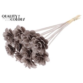 QC Beetal Rose on stem | Colour: Champagne | Rose diameter 6 centimetres | Stem length ± 50 centimetres | Per 10 stems