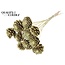 Sliced Pine Cone on Stick | Colour: Gold | Pine Cone Diameter 5 - 7 centimetres | Length ± 50 centimetres | Per 10 picks