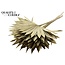 Dried Palm Leaf in Fan Shape | Colour: Gold | Palm Sun Dried Flowers | Length ± 50 centimetres | Per 10 stems