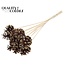Dennenappel op stok | Kleur: Bruin met Goudkleurig | Gold Tipped Bijsteker | Diameter dennenappel 5 - 7 centimeter | Lengte ± 50 centimeter | Per 10 bijstekers