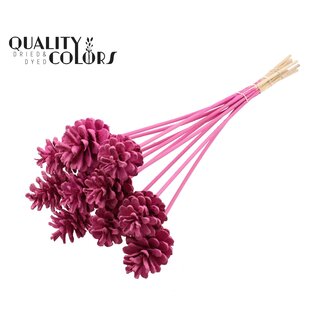 QC Dennenappel op stok | Kleur: Kerskleurig | Covered Cerise Bijsteker | Diameter dennenappel 5 - 7 centimeter | Lengte ± 50 centimeter | Per 10 bijstekers