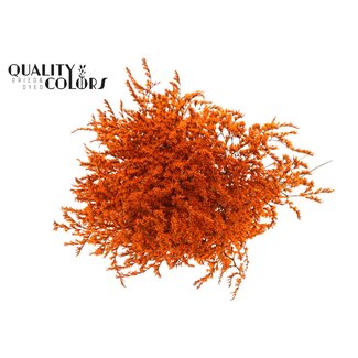 QC Getrockneter Meerlavendel | Farbe: Orange | Limonium Tataricum Trockenblumen | Länge ± 30 cm | Gewicht 45 Gramm | Pro Bund