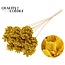 Pine cone on stick | Colour: Yellow | Sawdust Yellow Insert Stick | Pine cone diameter 5 - 7 centimetres | Length ± 50 centimetres | Per 10 insert sticks
