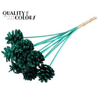 QC Pine cone on stick | Colour: Intense Turquoise | Pine cone diameter 5 - 7 centimetres | Length ± 50 centimetres | Per 10 picks