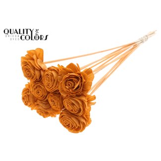 QC Shola Houten Roos op stok | Kleur: Terracotta | Shola Beauty Rose Bijsteker | Diameter roos 6 centimeter | Lengte bijsteker ± 50 centimeter | Per 10 bijstekers