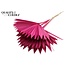 Dried Palm Leaf in Fan Shape | Colour: Cherry-Coloured | Palm Sun Dried Flowers | Length ± 50 centimetres | Per 10 stems