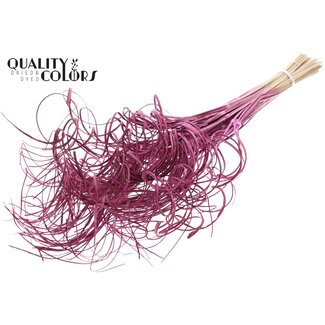 QC Dried Palm Leaf Vein | Curly Ting Ting | Colour: Lilac | Dried Decoration | Length ± 70 centimetres | 3 veins per stem | Per 33 stems