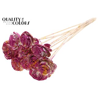 QC Shola Houten Roos op stok | Kleur: Meerkleurig Kerskleurig Geel | Shola Beauty Rose Bijsteker | Diameter roos 6 centimeter | Lengte bijsteker ± 50 centimeter | Per 10 bijstekers
